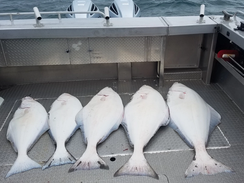 5 day fishing adventures
