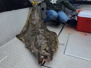 Halibut Fishing Charters 1