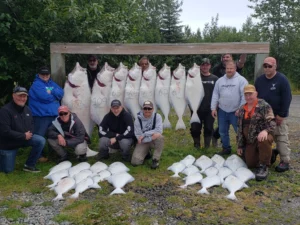 Halibut Fishing Charters13