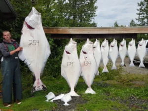 Halibut Fishing Charters16