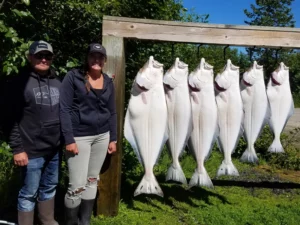 Halibut Fishing Charters21