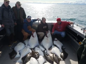 Halibut Fishing Charters24