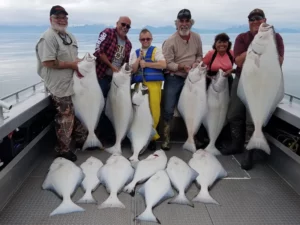 Halibut Fishing Charters25