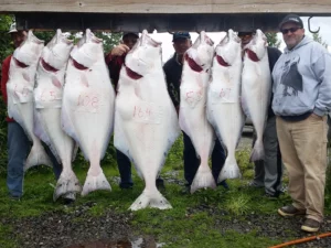 Halibut Fishing Charters28