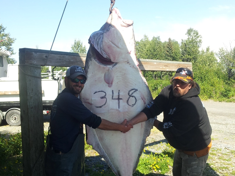 Halibut Fishing Charters31
