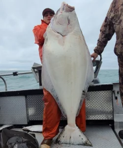 Halibut Fishing Charters35