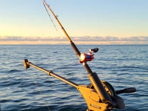 Halibut salmon charter 7