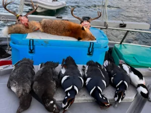 Kodiak Combo Deer Hunting 4