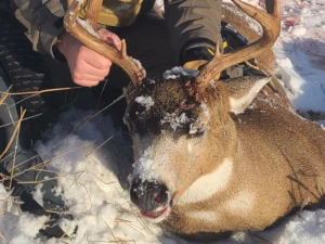 Kodiak Combo Deer Hunting12