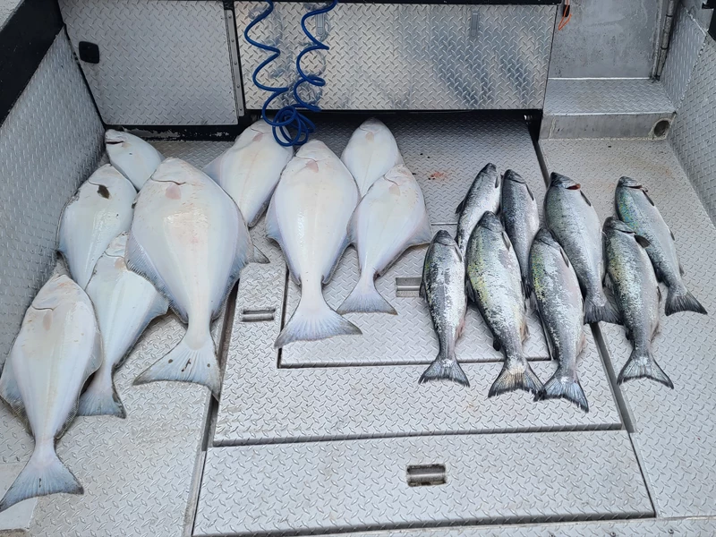 Multi Day Charter 2