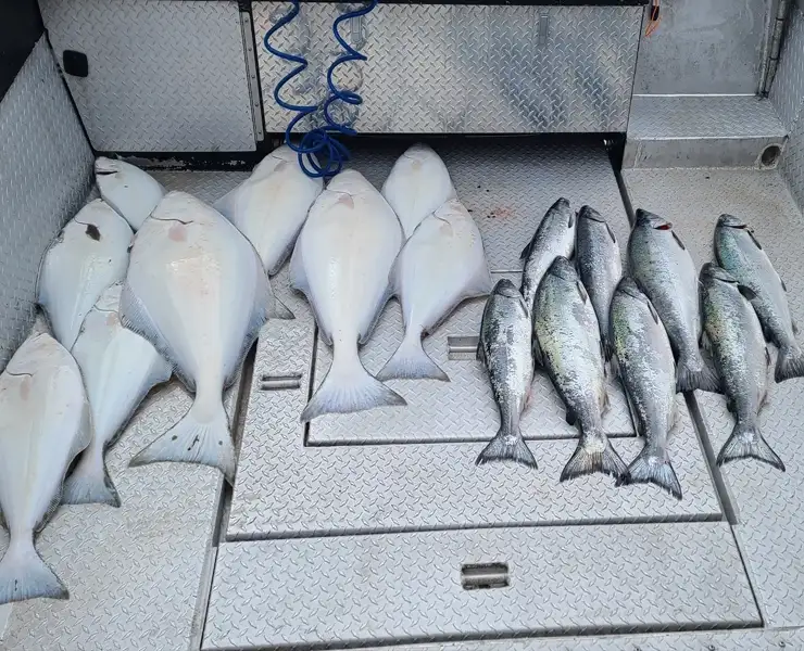 Halibut/Salmon/Rockfish/Cod Charter