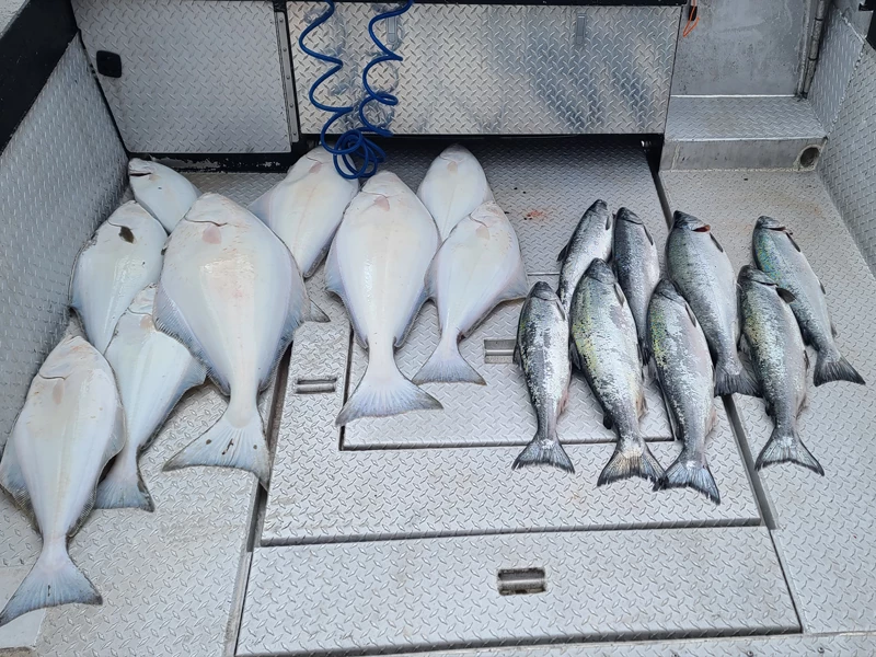 Halibut/Salmon/Rockfish/Cod Charter