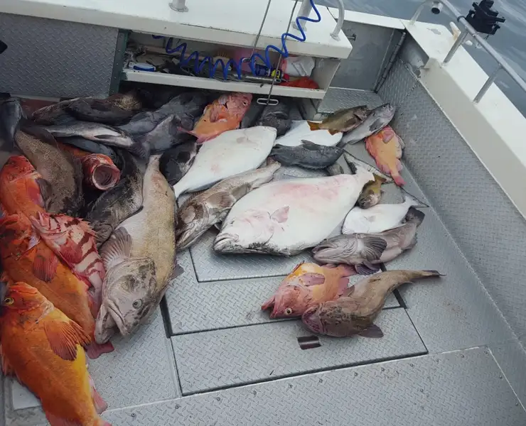 Multi Specie Trip